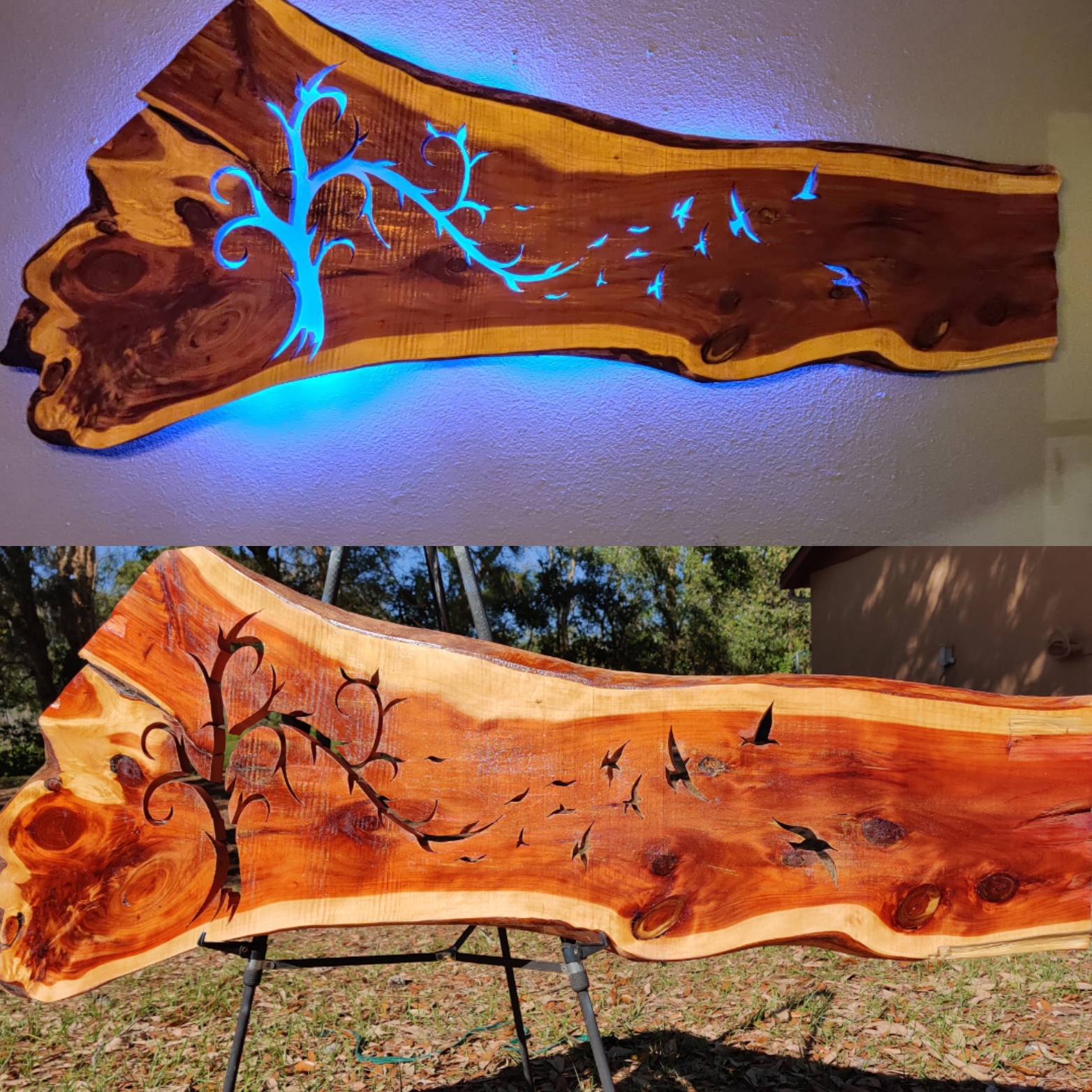 Cedar Dreams