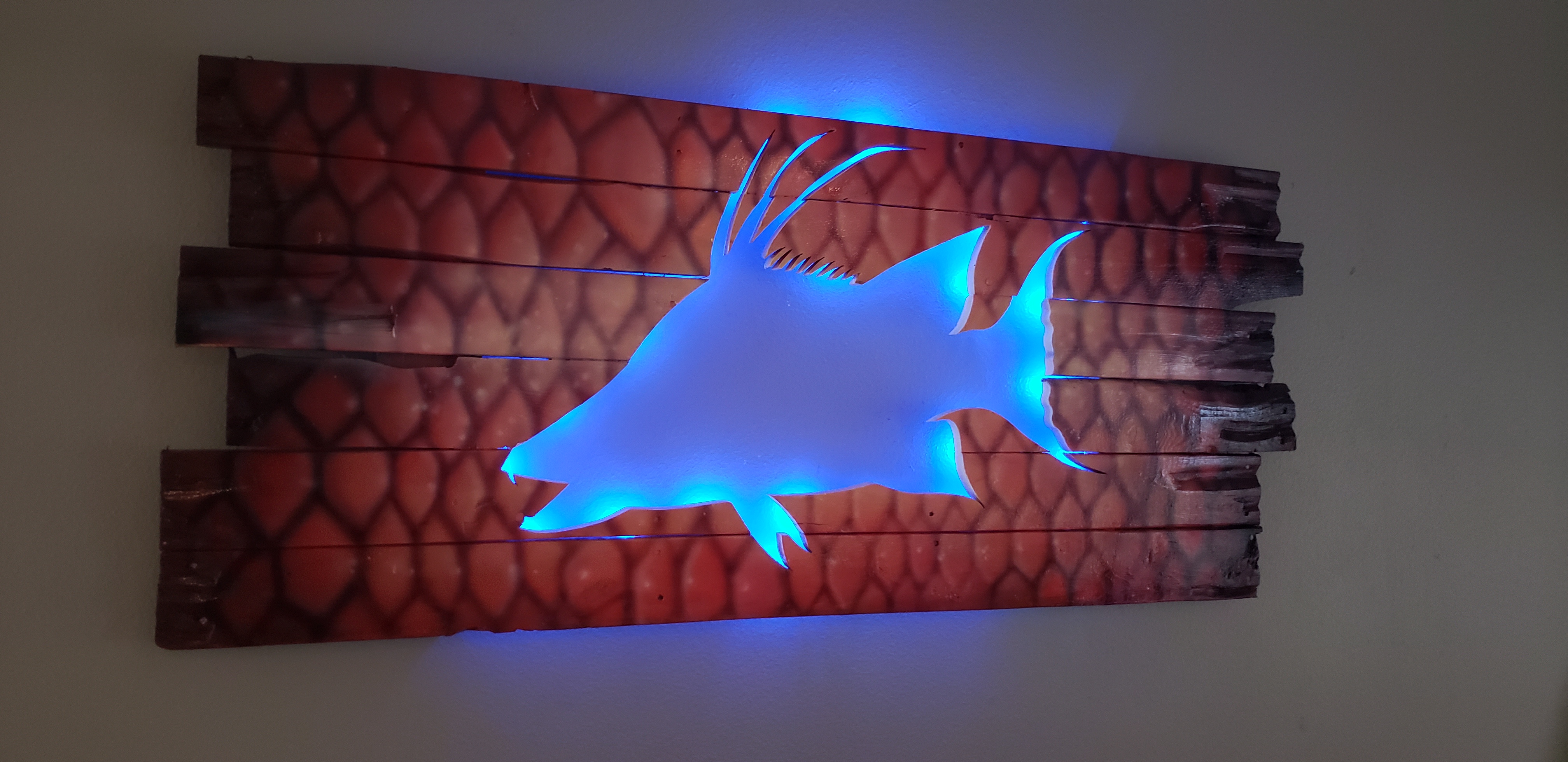 Scaled Out Hogfish