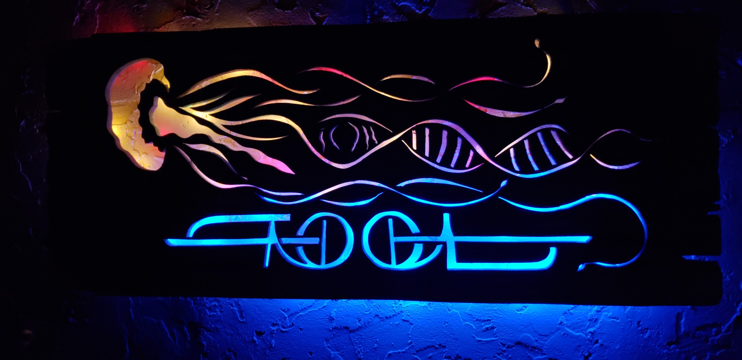 TOOL - Jelly - DNA